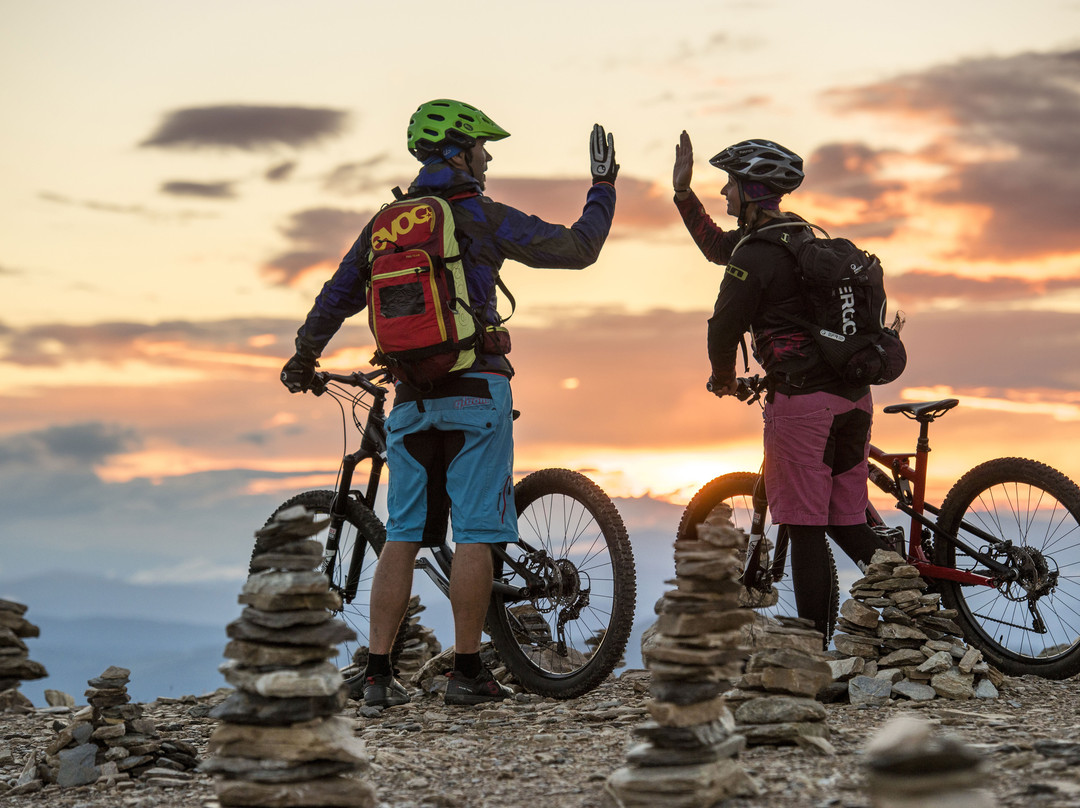 林登霍夫酒店主图