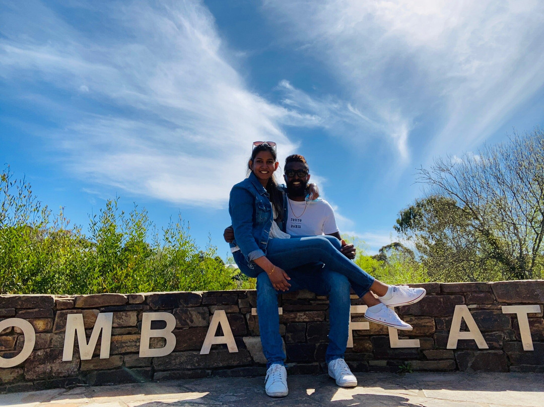 Wombat Flat Mineral Spring-戴尔斯福特必去景点