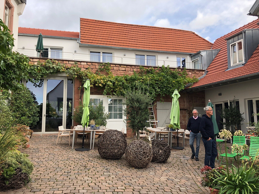 Julius in der Pfalz主图