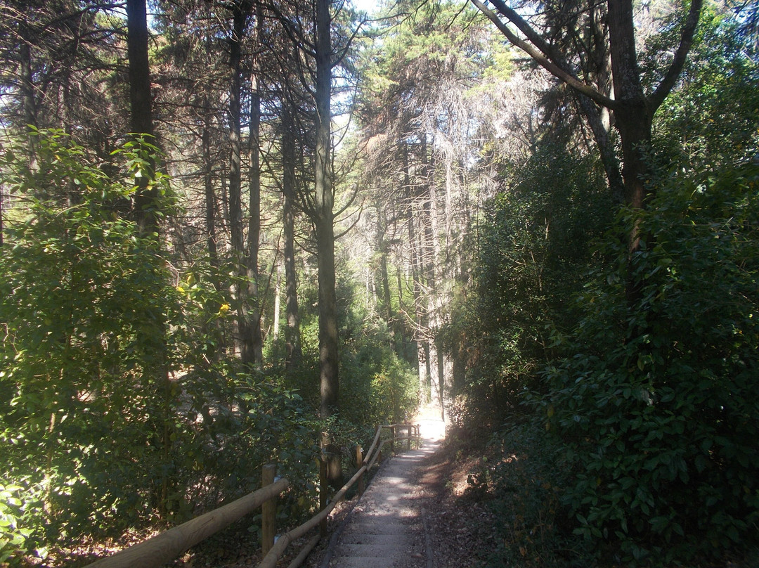 Parque Florestal De Monsanto-里斯本必去景点
