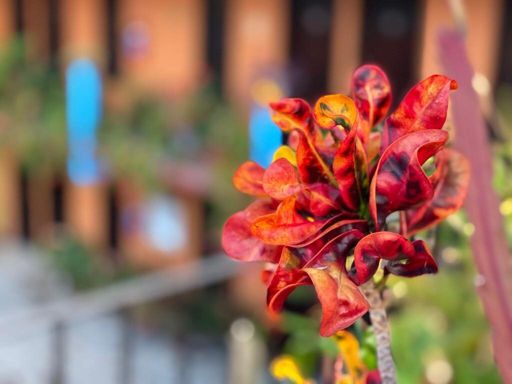 Hotel El Rincón de Doña Bety主图