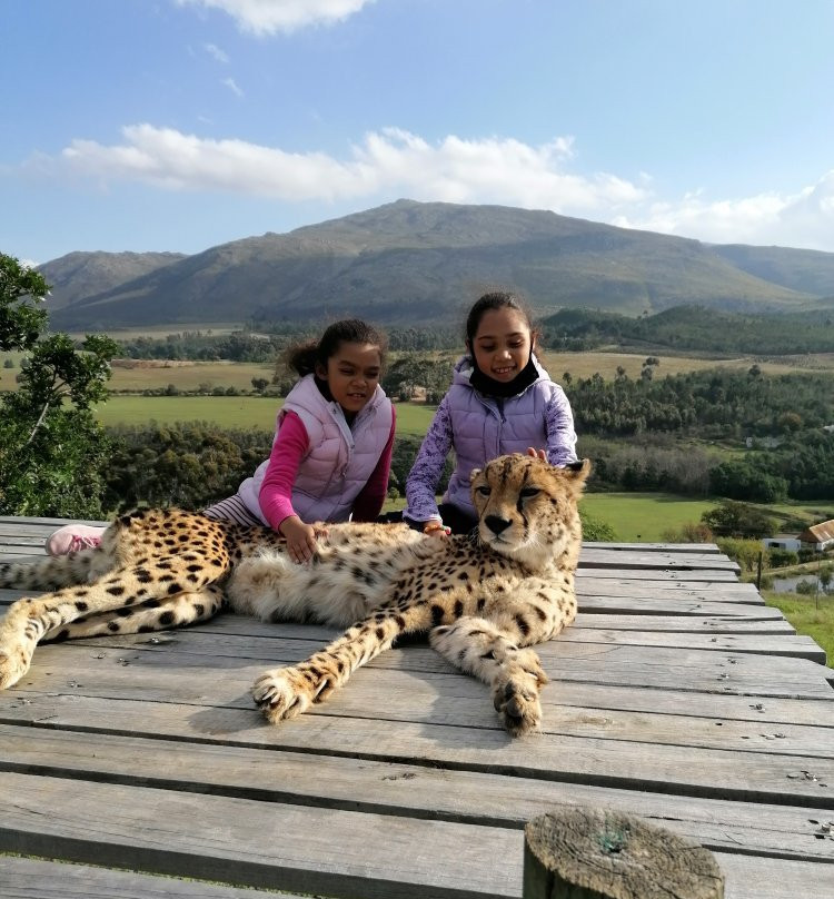 EnzoKuhle South Africa-Cape Point必去景点