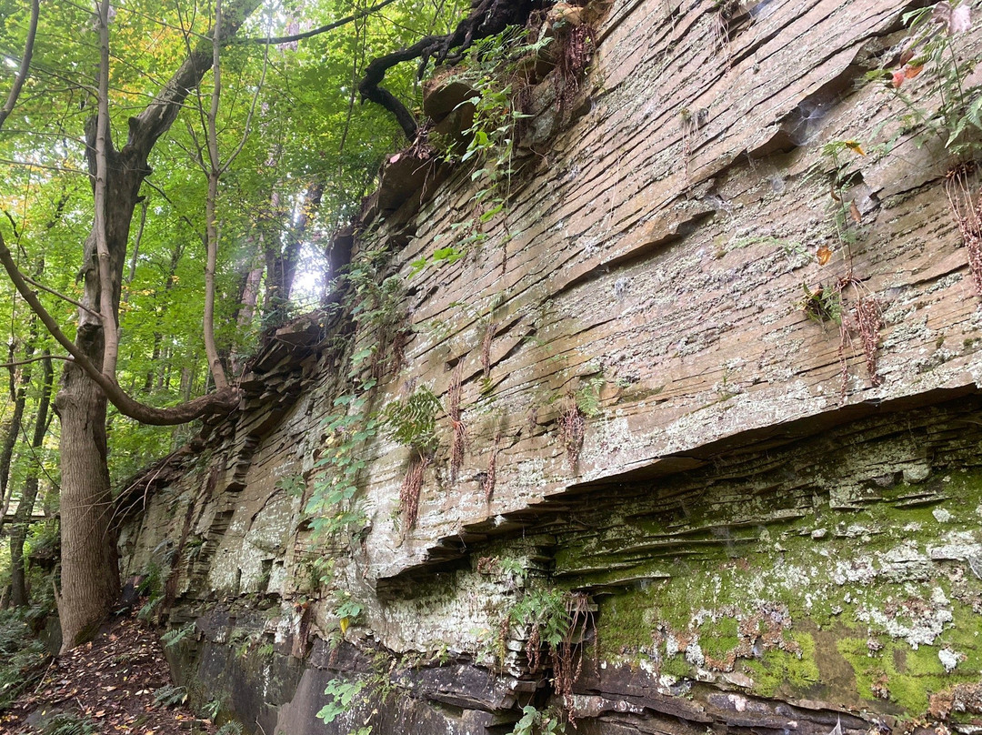 Lowe Volk Nature Center景点图片