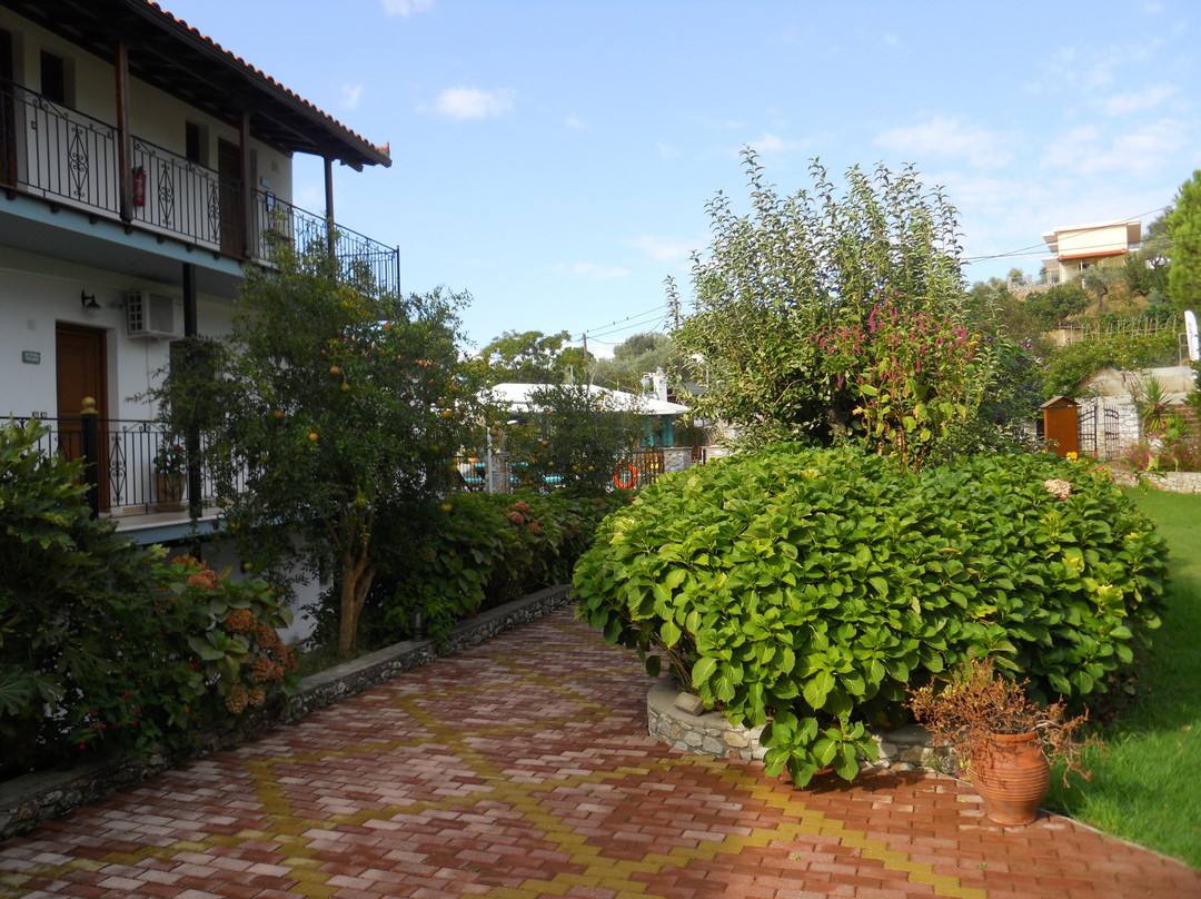 Theodora Studios主图