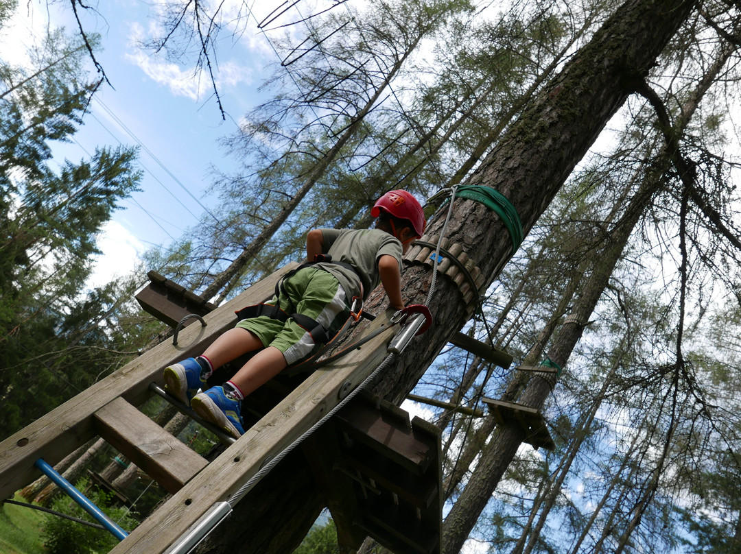 Adventure Dolomiti , Parco Avventura - Molina Di Fiemme)-Castello-Molina di Fiemme必去景点