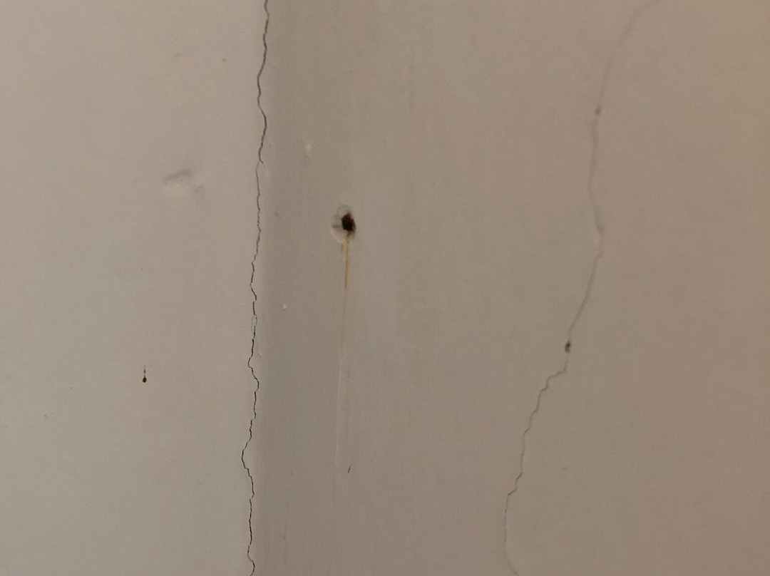 塞特阿尔基酒店主图