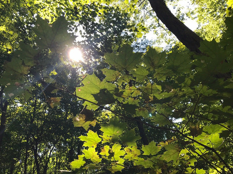 Spitler Woods State Natural Area-Mount Zion必去景点