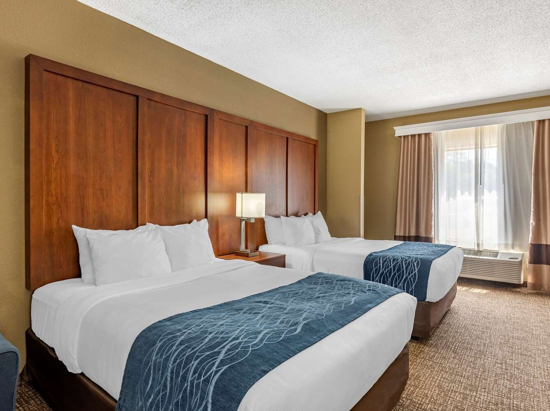 Comfort Inn & Suites主图