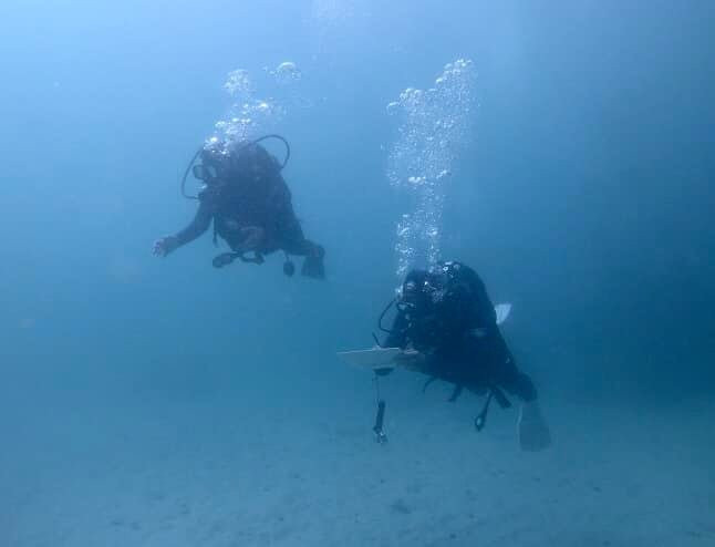 Cape RADD-开普敦必去景点