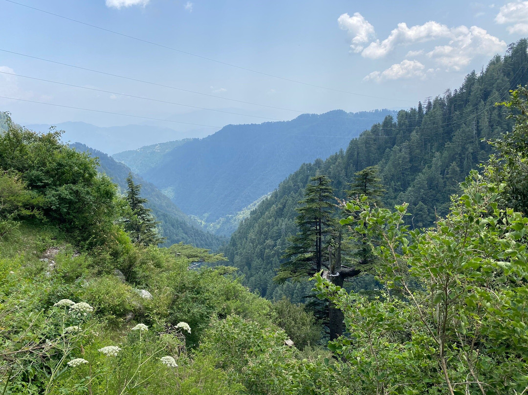 Dunga Gali Pipe Line Track-Nathia Gali必去景点