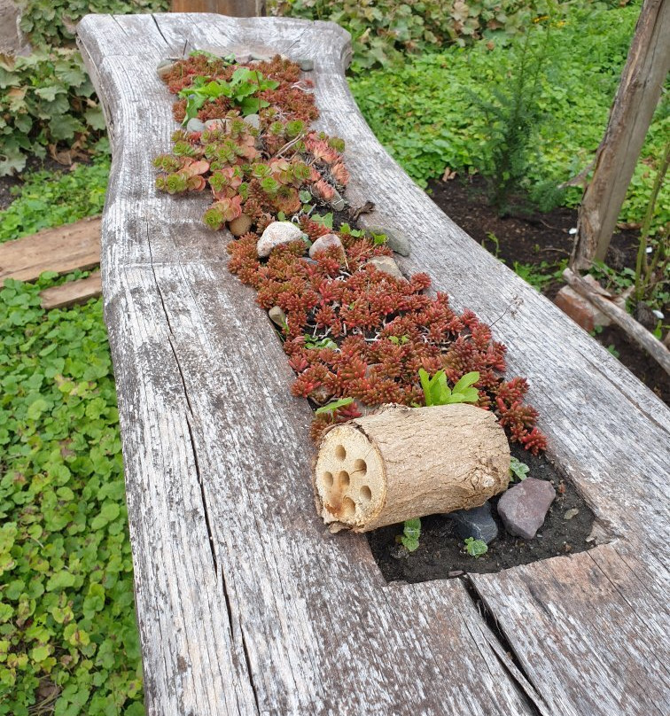 Kloster Jerichow-Jerichow必去景点