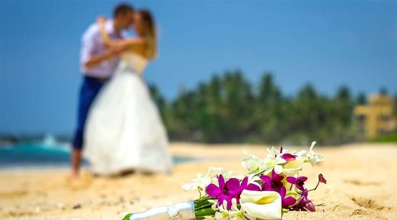 Star Rest Surf Camp-官方