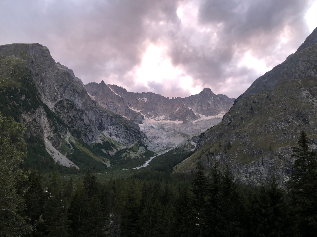 Hotel Edelweiss主图