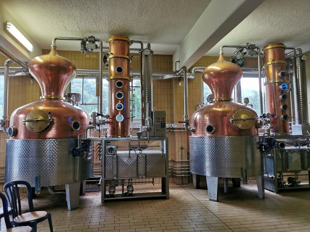 Distillerie Meyer景点图片
