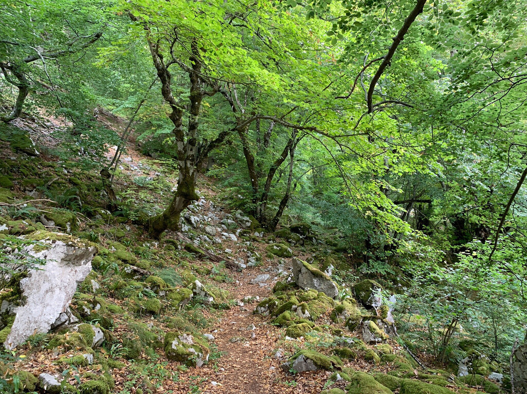 Picos de Europa主图