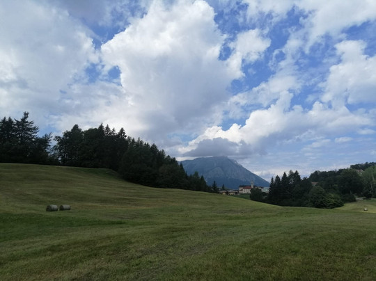 Tana della volpe主图