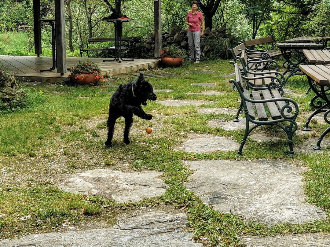 斯坦恩舒乐霍夫酒店主图