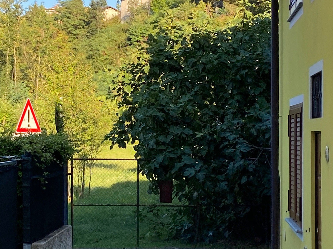 Pista Ciclo-Pedonale Cittiglio - Laveno Mombello-Cittiglio必去景点