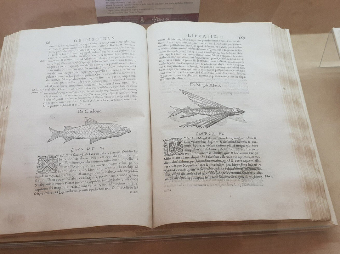Biblioteca Comunale “Alceste e Remigio Roccella”-皮亚扎－阿尔梅里纳必去景点