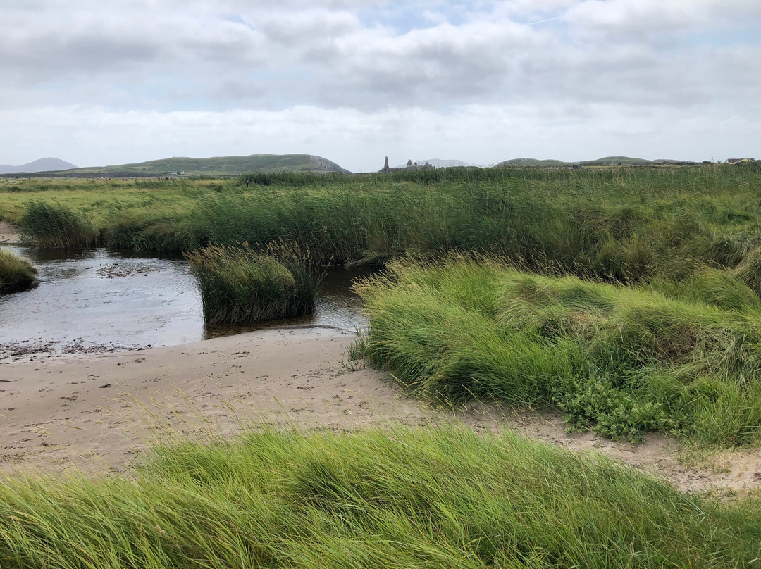 Ballinskelligs Beach-Ballinskelligs必去景点