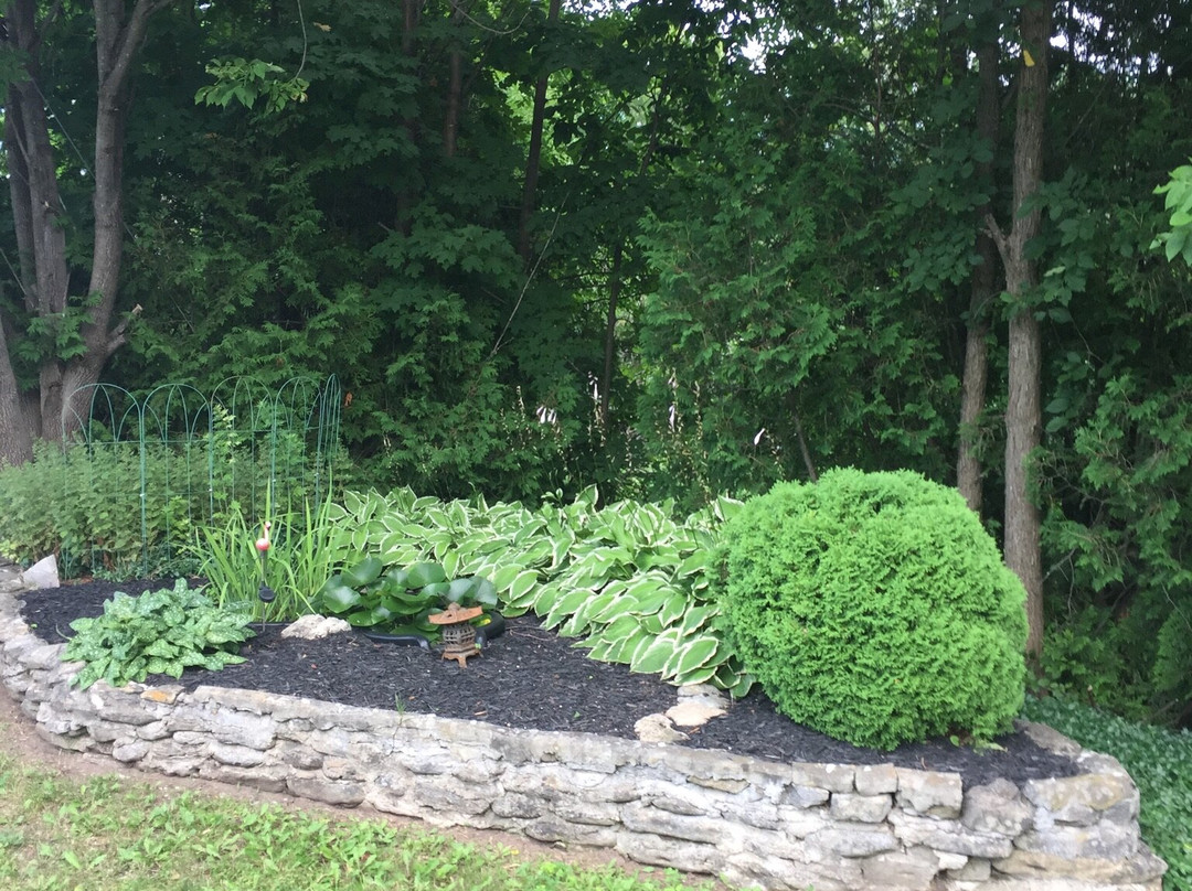 Paradise Motel主图