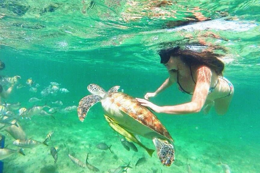 CORAL GO! EXPERIENCE-切图马尔必去景点