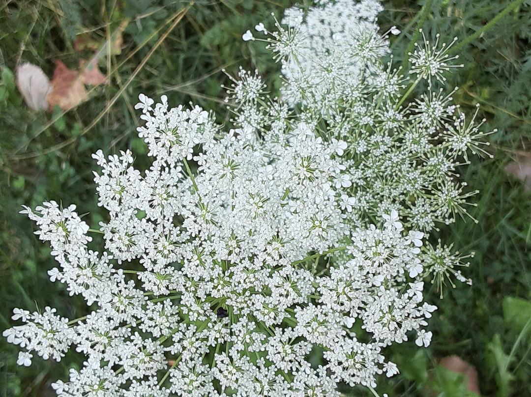 Isaac Lake-米德尔堡海茨必去景点