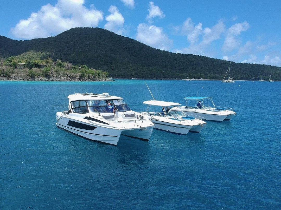 Palm Tree Charters-克鲁兹湾必去景点