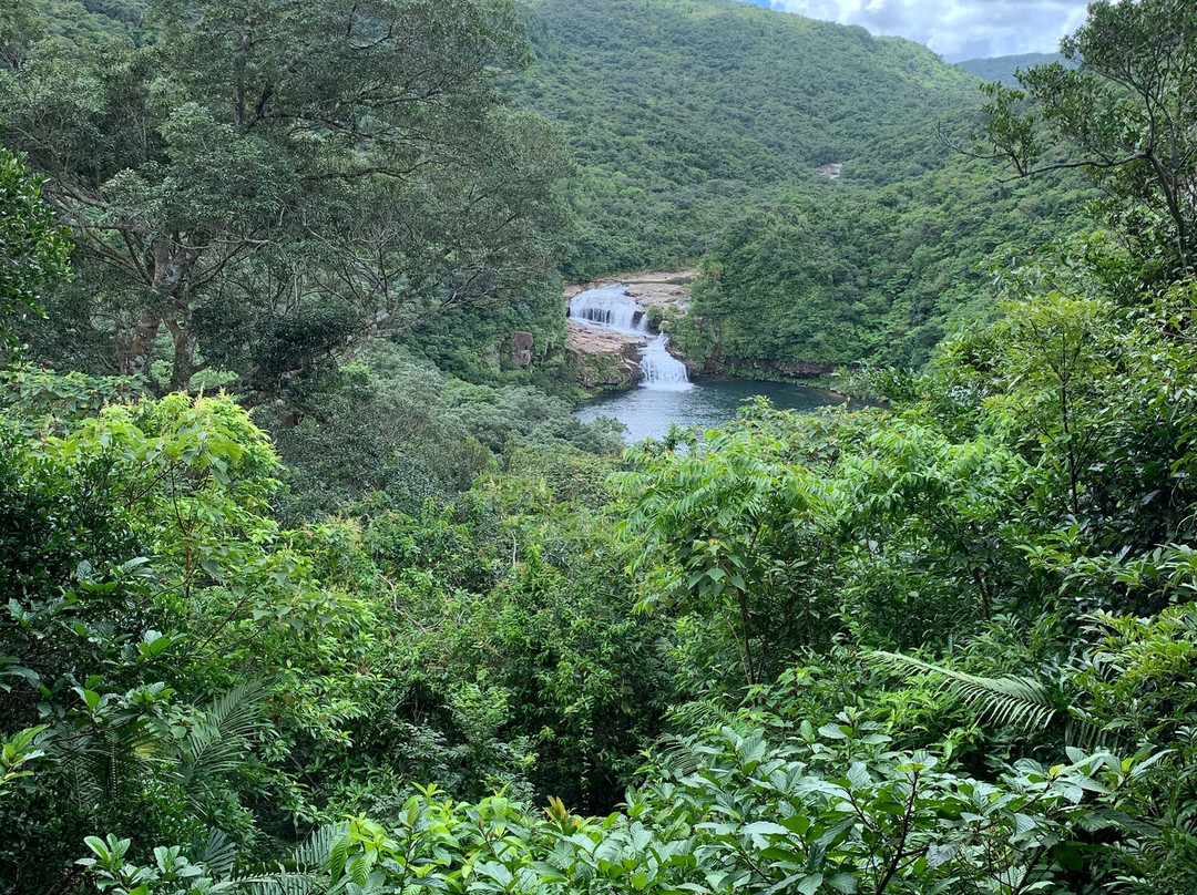 Iriomote-Ishigaki National Park景点图片