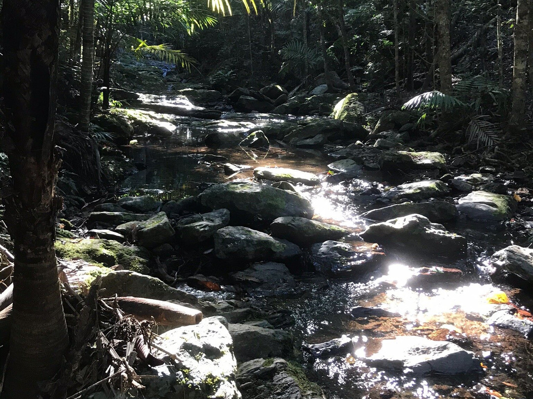 Parc des Grandes Fougères-Farino必去景点
