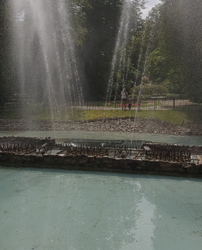 Park Zdrojowy景点图片