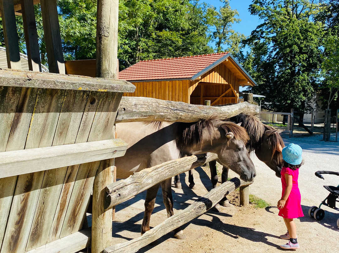 Tierpark Stadt Haag-Haag必去景点