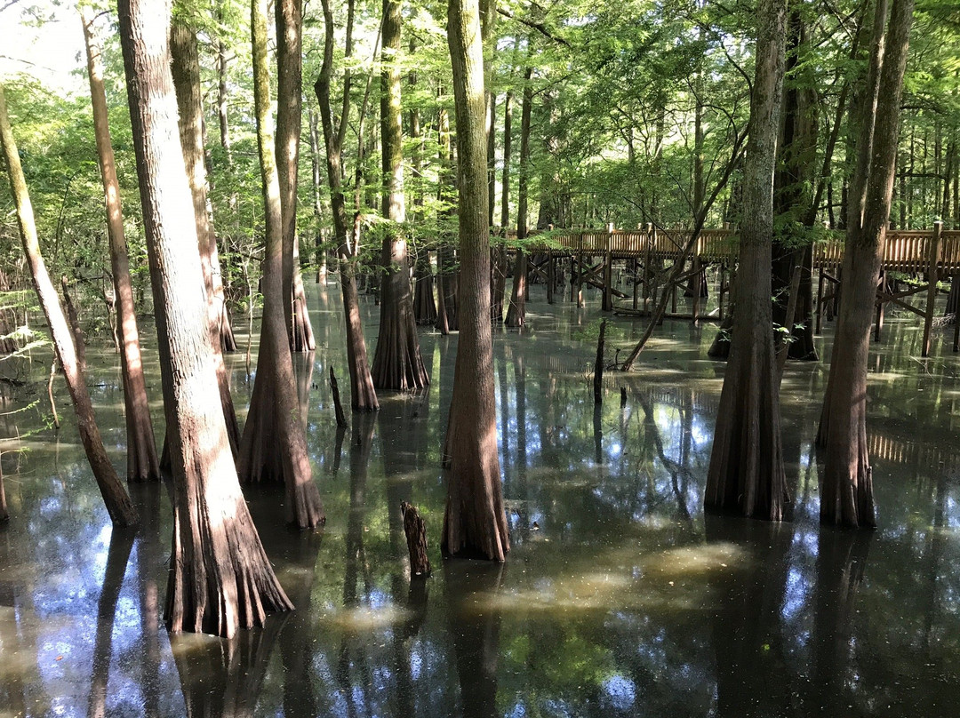 Mississippi Delta-Belzoni必去景点
