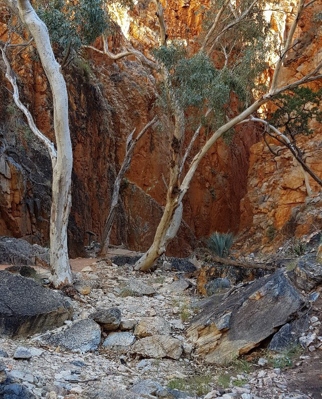 Standley Chasm Angkerle景点图片