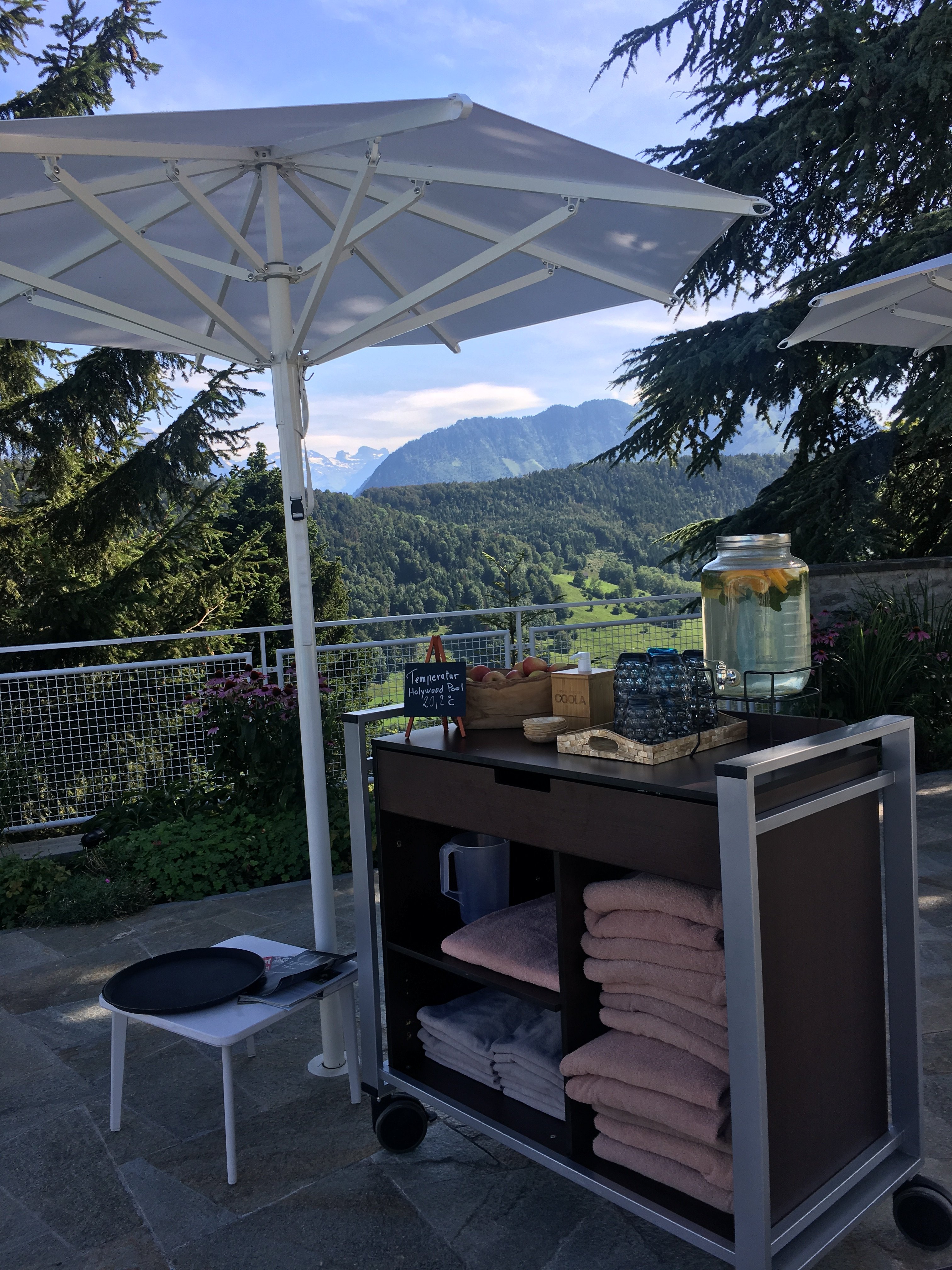 Bürgenstock Hotel & Alpine Spa-泳池