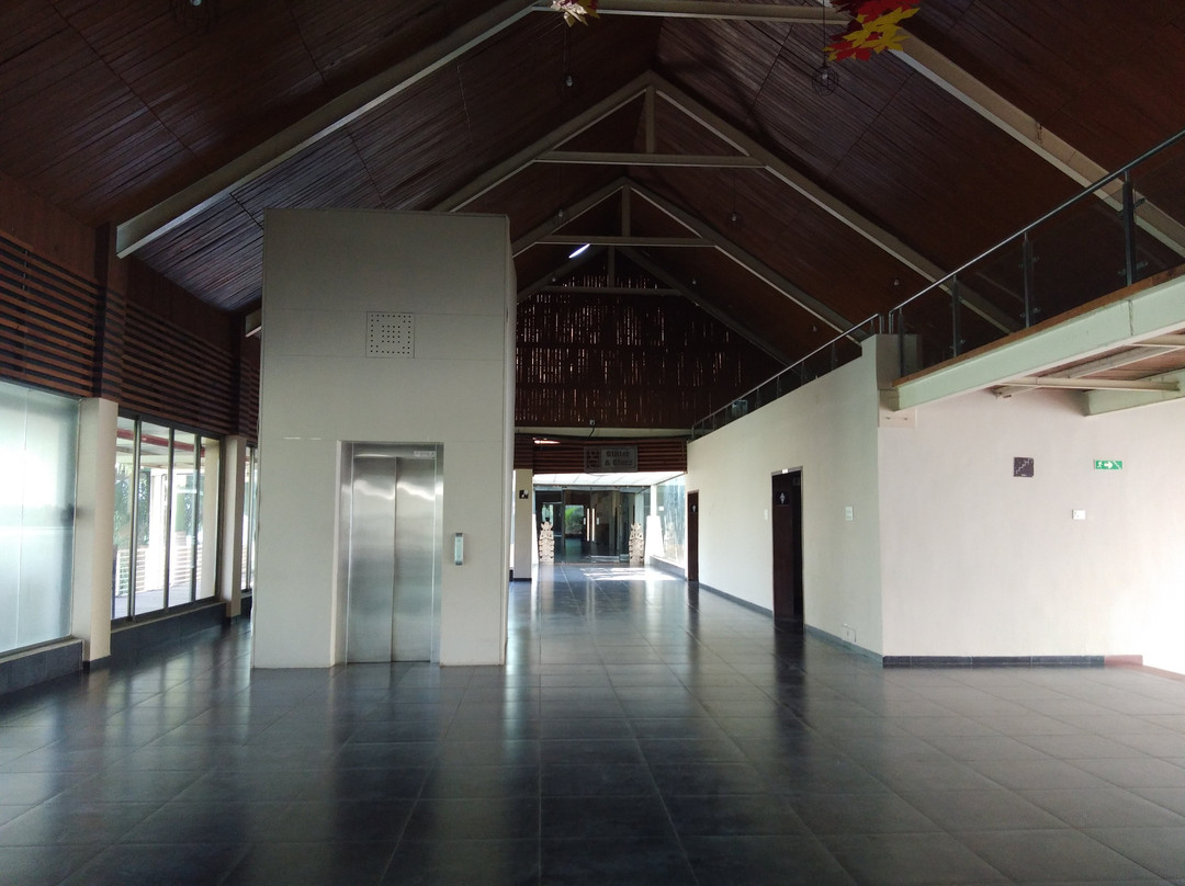 Aarohi Starz Club主图