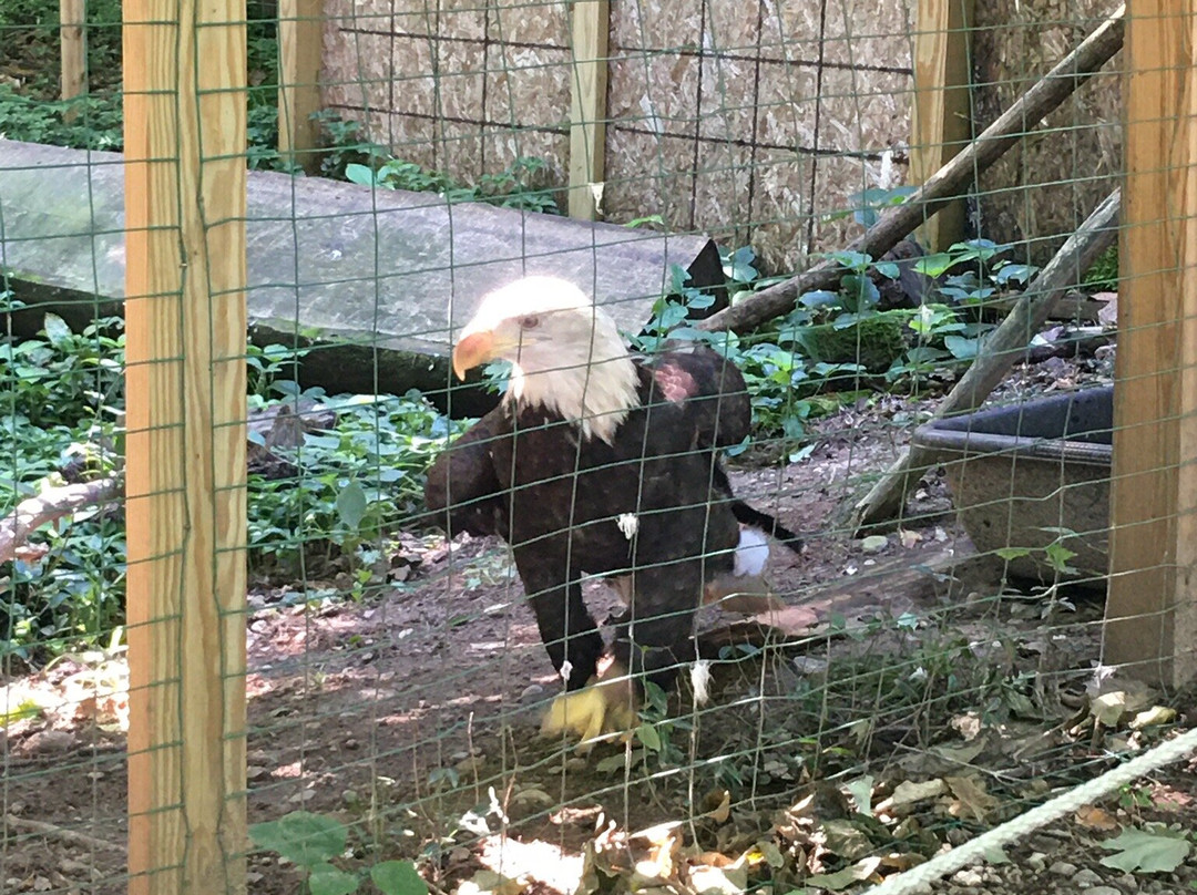 Adirondack Wildlife Refuge-Wilmington必去景点