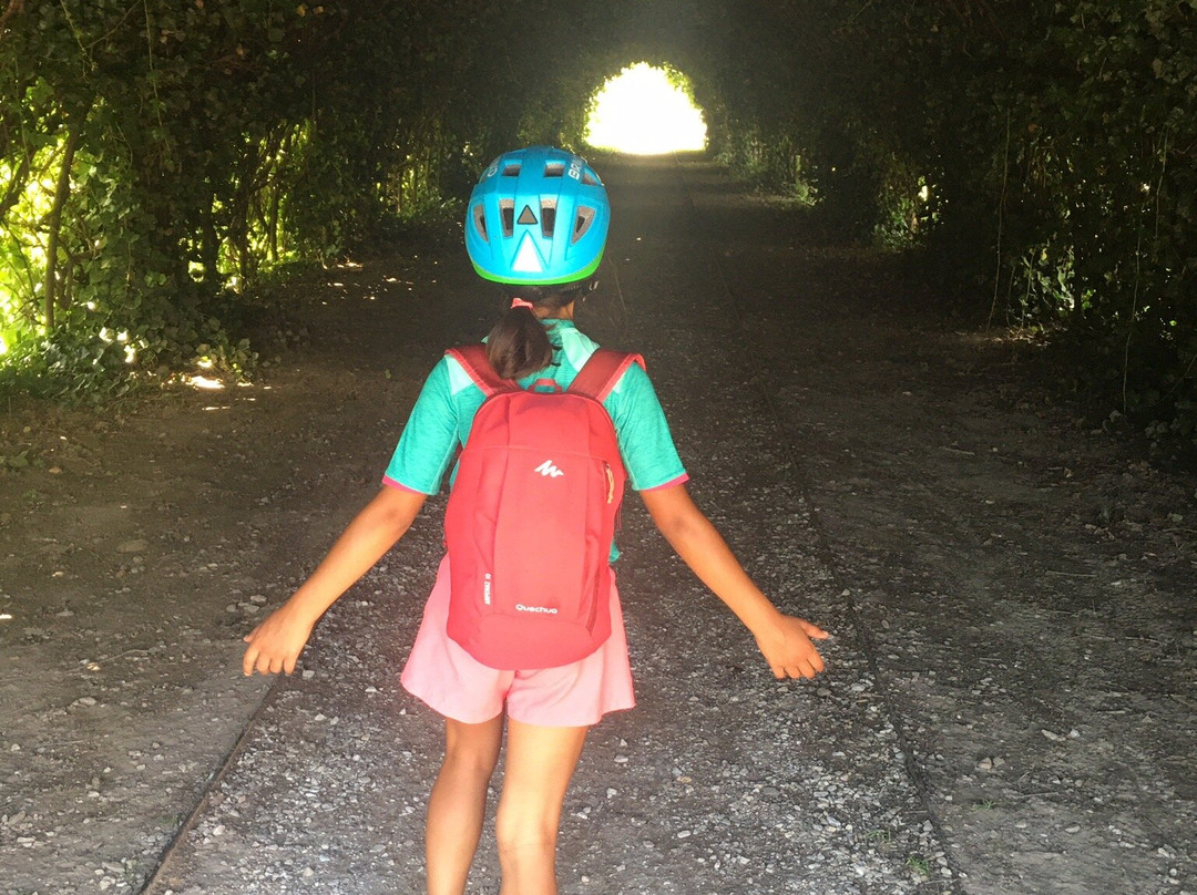 Pista ciclabile Malles景点图片