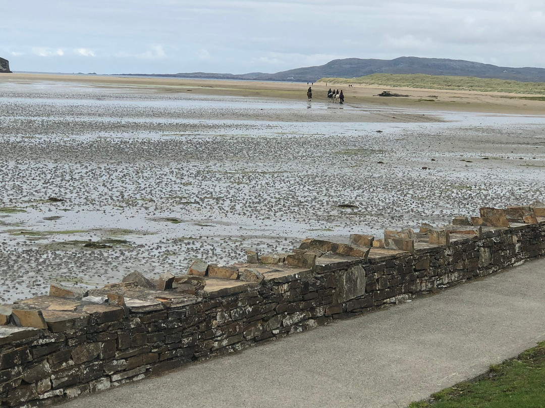 Dunfanaghy Stables-Dunfanaghy必去景点