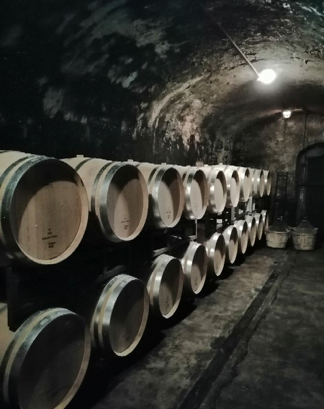 Castello Di Oliveto主图