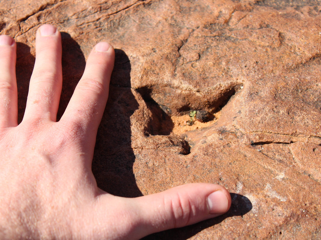 Dinosaur Tracks - National Monument NAMIBIA-Kalkfeld必去景点