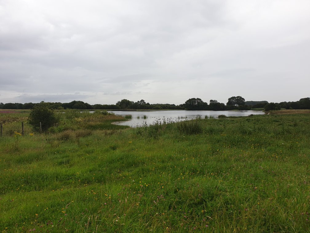 Staveley Nature Reserve景点图片