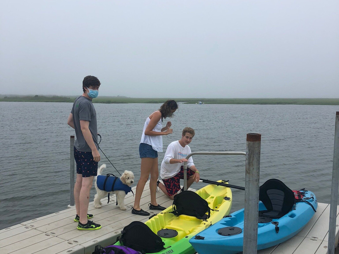 Adventure Paddleboards & Kayaks-汉普顿海湾必去景点