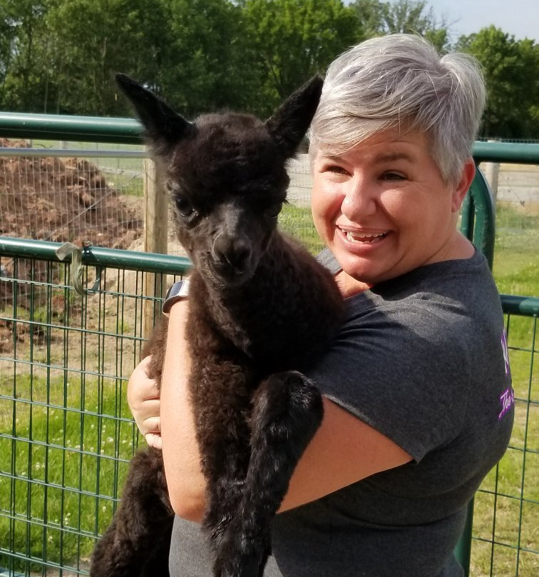 Sabamba Alpaca Ranch and Bed & Breakfast主图