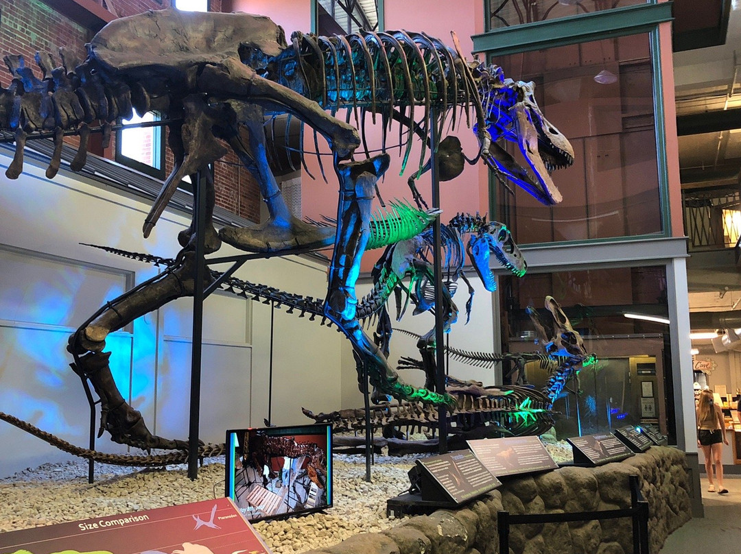 Museum of World Treasures-威奇托必去景点