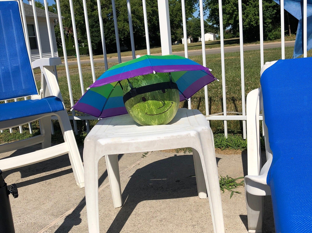 Blue Spruce & Lucky Horseshoe Motel and Cabins主图