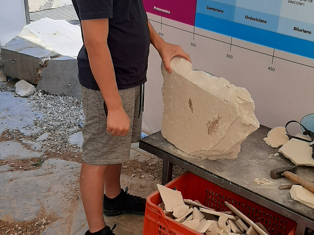 Sito Paleontologico Dinosauro Antonio景点图片