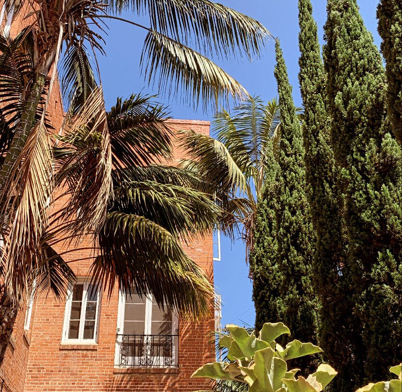 洛杉矶圣莫尼卡帕里豪斯酒店主图