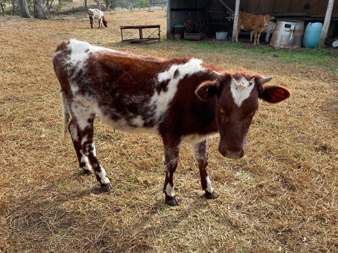 Gleneden Family Farm景点图片