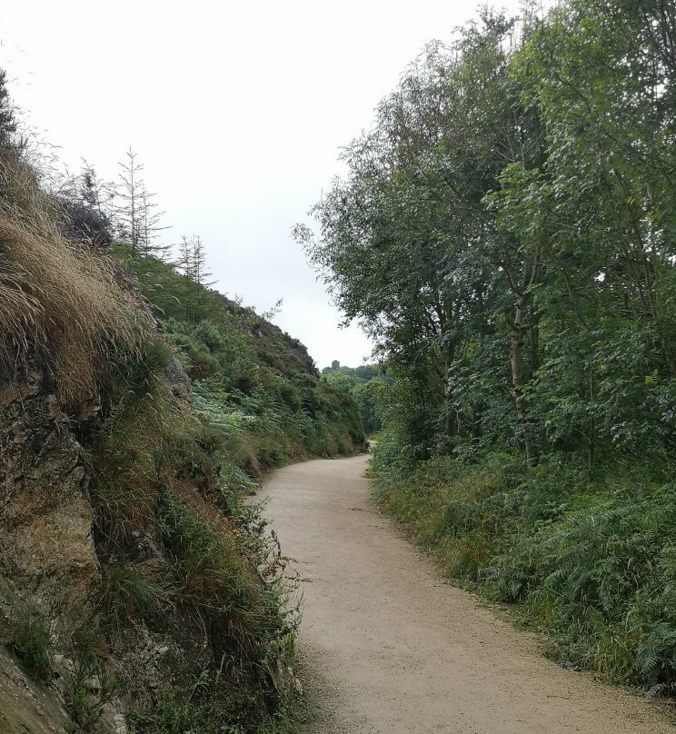 Anne Valley Walk景点图片